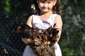 Aniela and her pet chickens Maudikoy and Zorro 